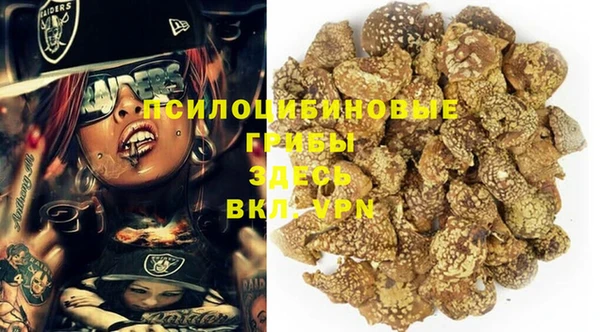 COCAINE Белокуриха