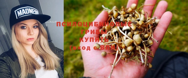 a pvp Беломорск