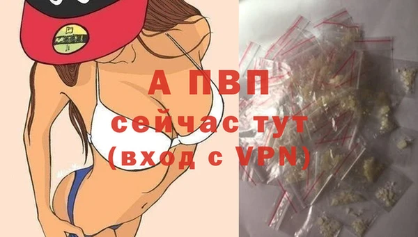 a pvp Беломорск